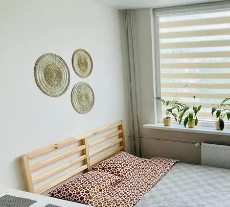 Taikos 11 *