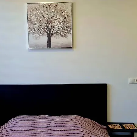 Taikos 11 * Klaipeda