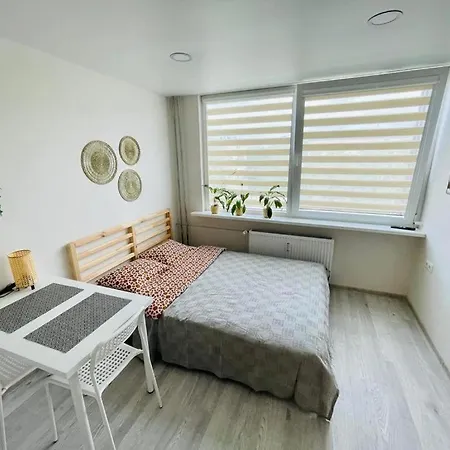 Taikos 11, Free Parking Klaipėda