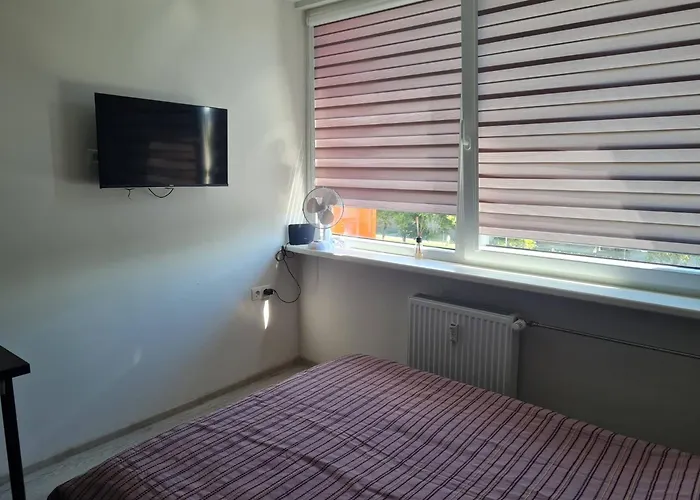 Taikos 11, Free Parking Klaipėda